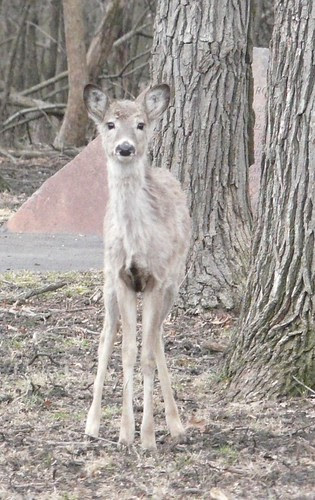 What are you looking at?