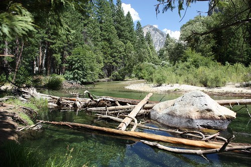 308 River