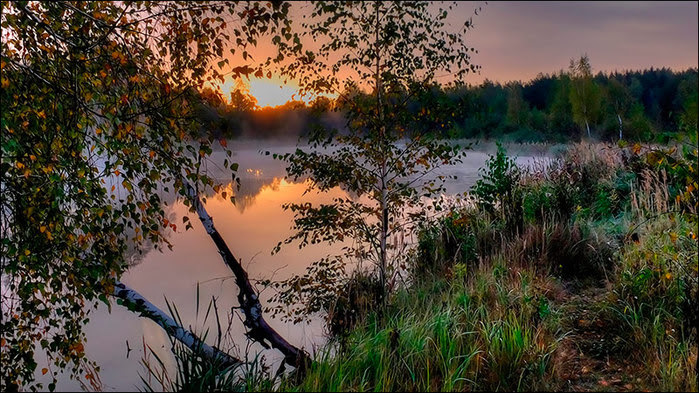 Осенний рассвет на пруду/3673959_6 (700x393, 142Kb)