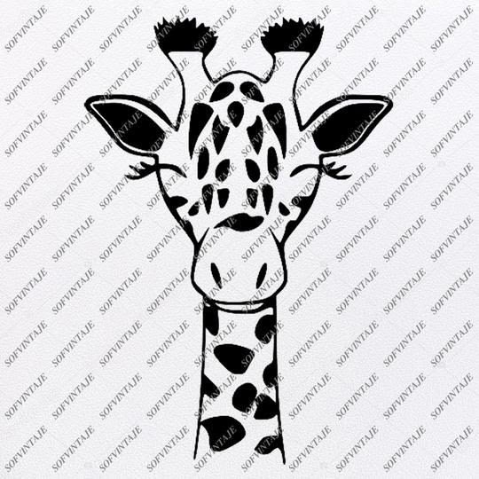 Baby Safari Animals Svg Free - 305+ File Include SVG PNG EPS DXF
