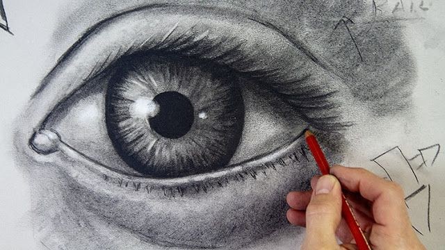 The Ultimate Drawing Course - Beginner To Advanced Free Download
