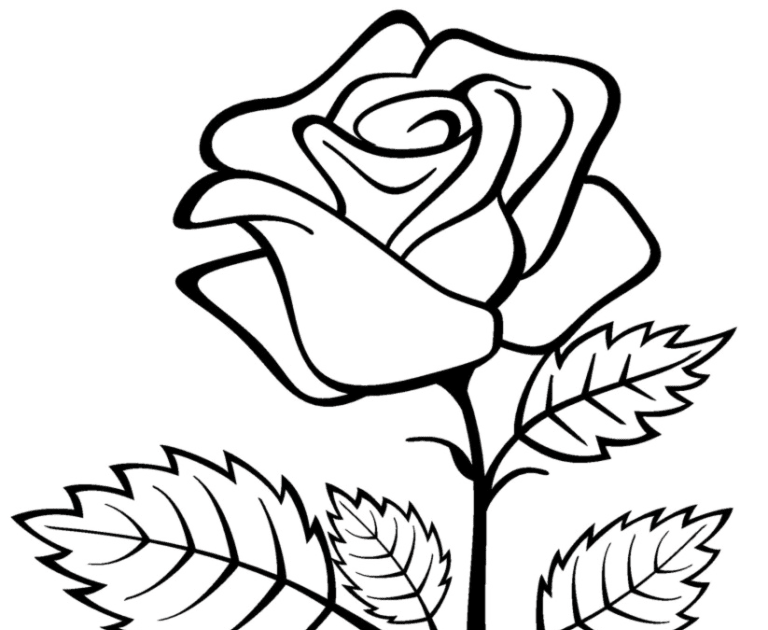 63 Gambar Bunga Mawar Yang Mudah Digambar Paling Hist Gambar Pixabay