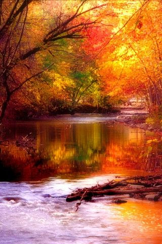 Beautiful World : Beautiful Golden Fall. This would make a beautiful watercolor painting