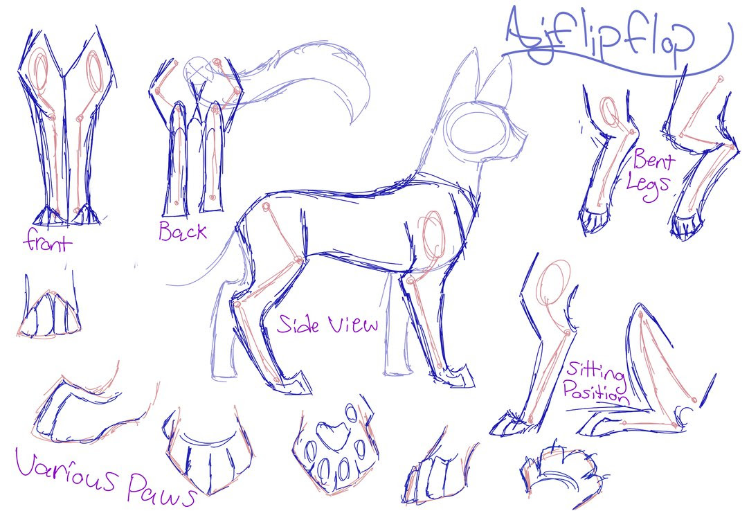 Warrior Cat Drawing Side View