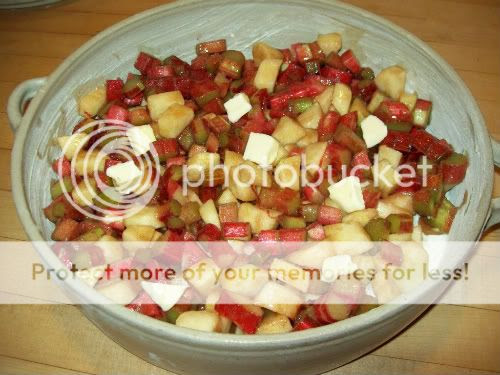 apple-rhubarb crisp