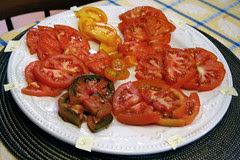 tomato taste test 1
