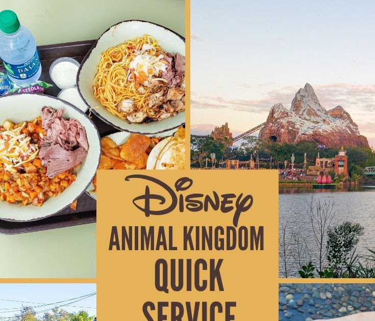 Best Place To Eat At Animal Kingdom Disney World - animal kingdom