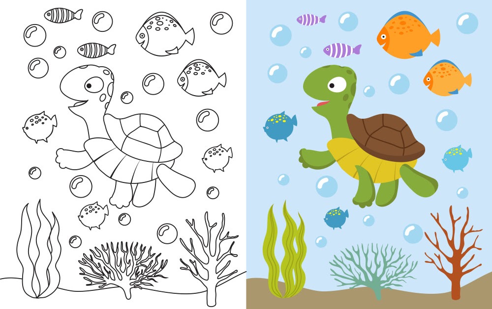 Turtle Coloring Coloringnori Coloring Pages For Kids