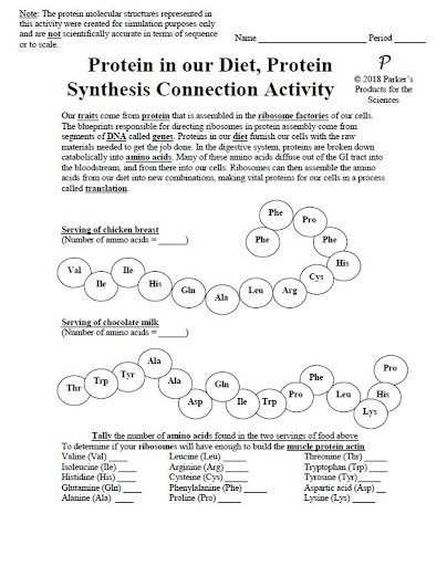 protein-synthesis-race-worksheet-answer-key-web-informationspaket-gesetzgebung-f-r-grundsteuern