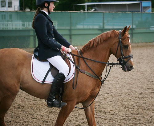 Showjumping