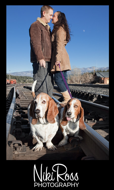 TracksDogsLooking