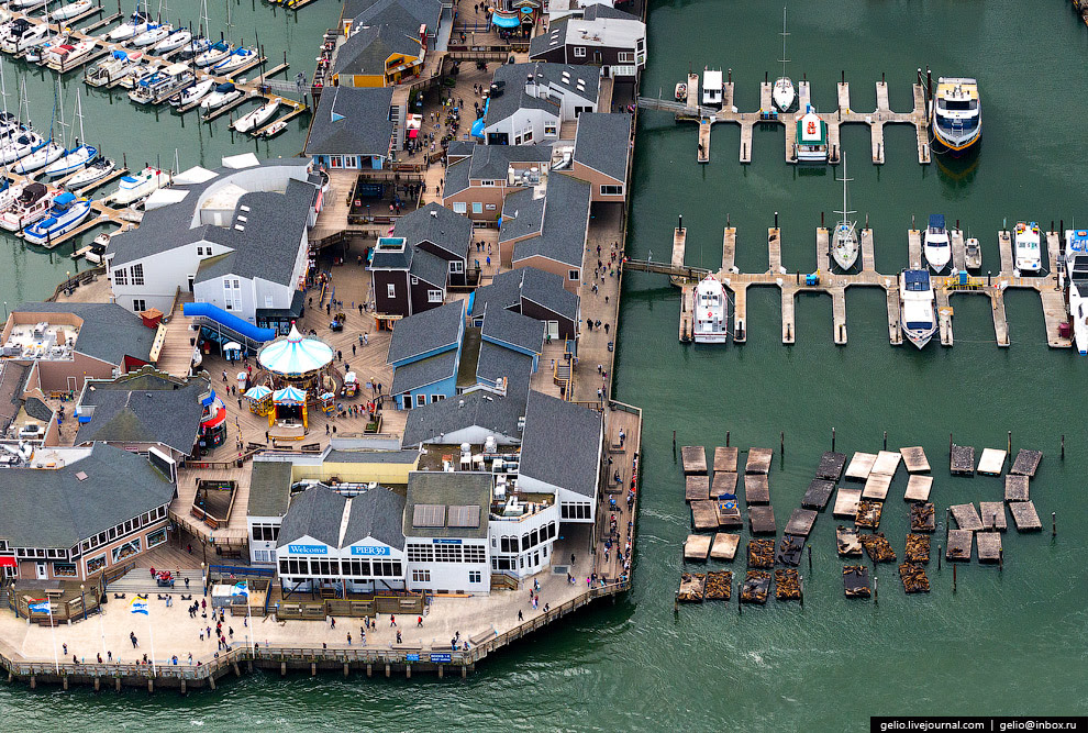 Пирс 39 (Pier 39) Пирс 39 (Pier 39)