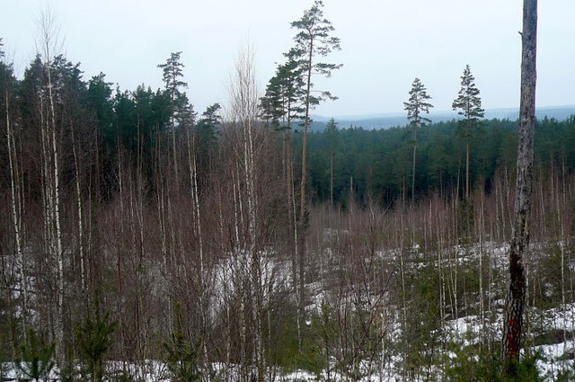 P1200169