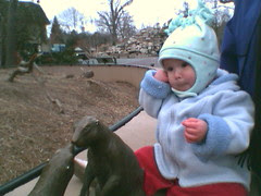 Celeste with Prairie Dogs