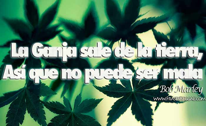 Imagenes De Marihuanas Chidas Con Frases De Amor Chicas Española