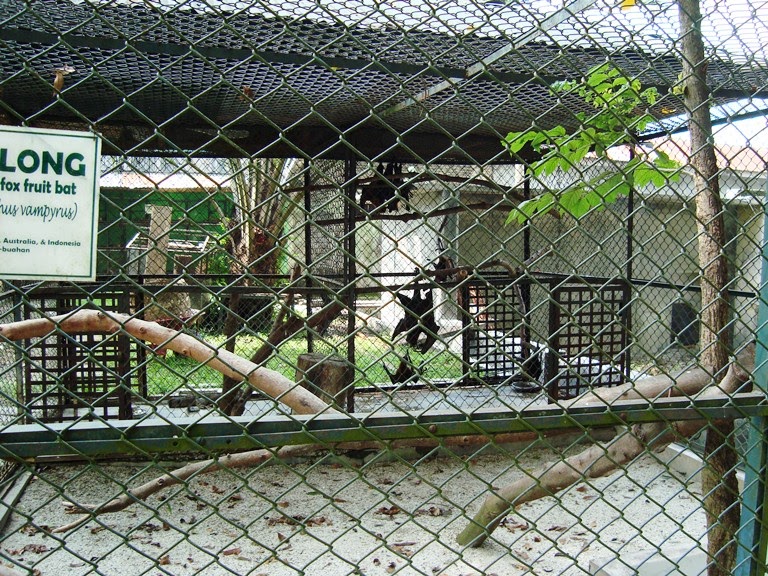 Taman Hewan Perbaungan / Harga Tiket Masuk Kebun Binatang Simalingkar