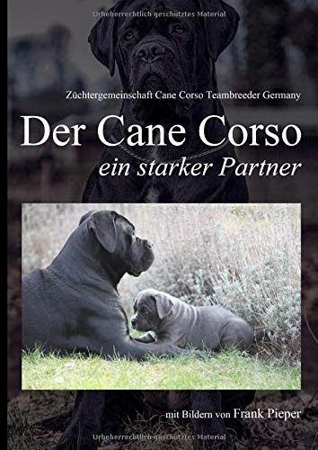 Online Lesen: Cane Corso - ein starker Partner: mit Fotos von Frank