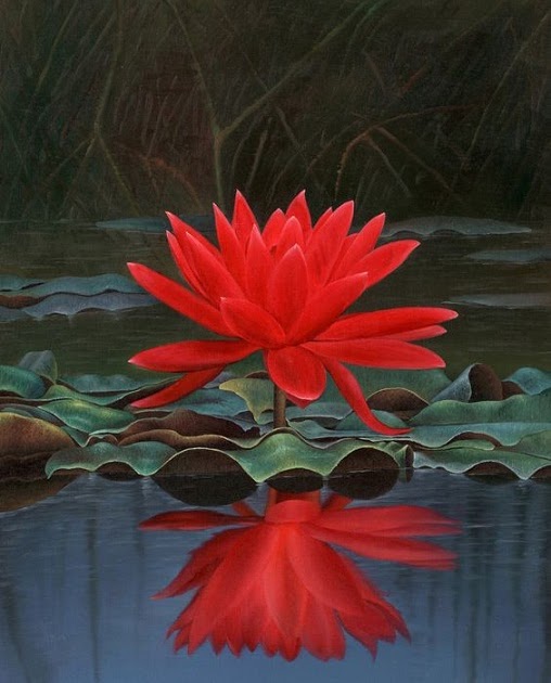 Camellia Flower Meaning In Hindi
