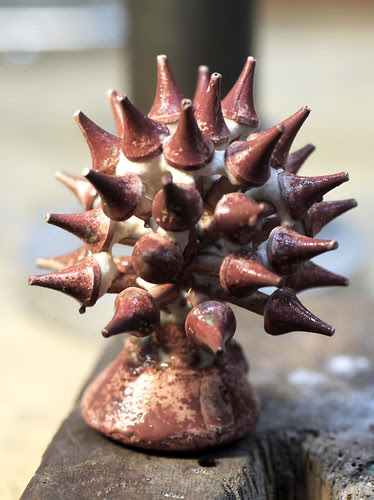 Bronze Urchin