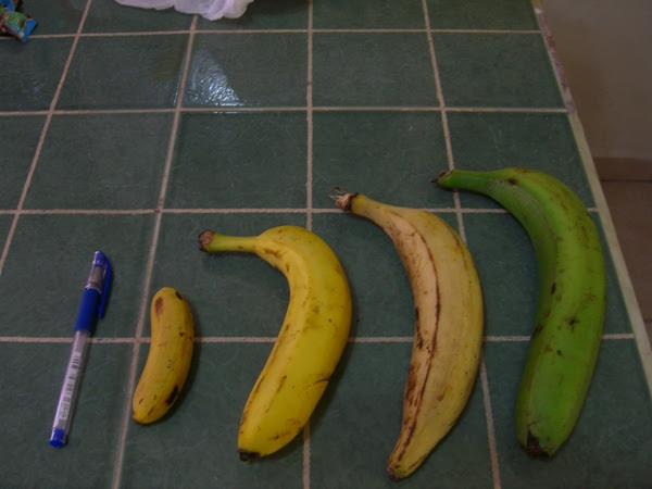 香蕉們