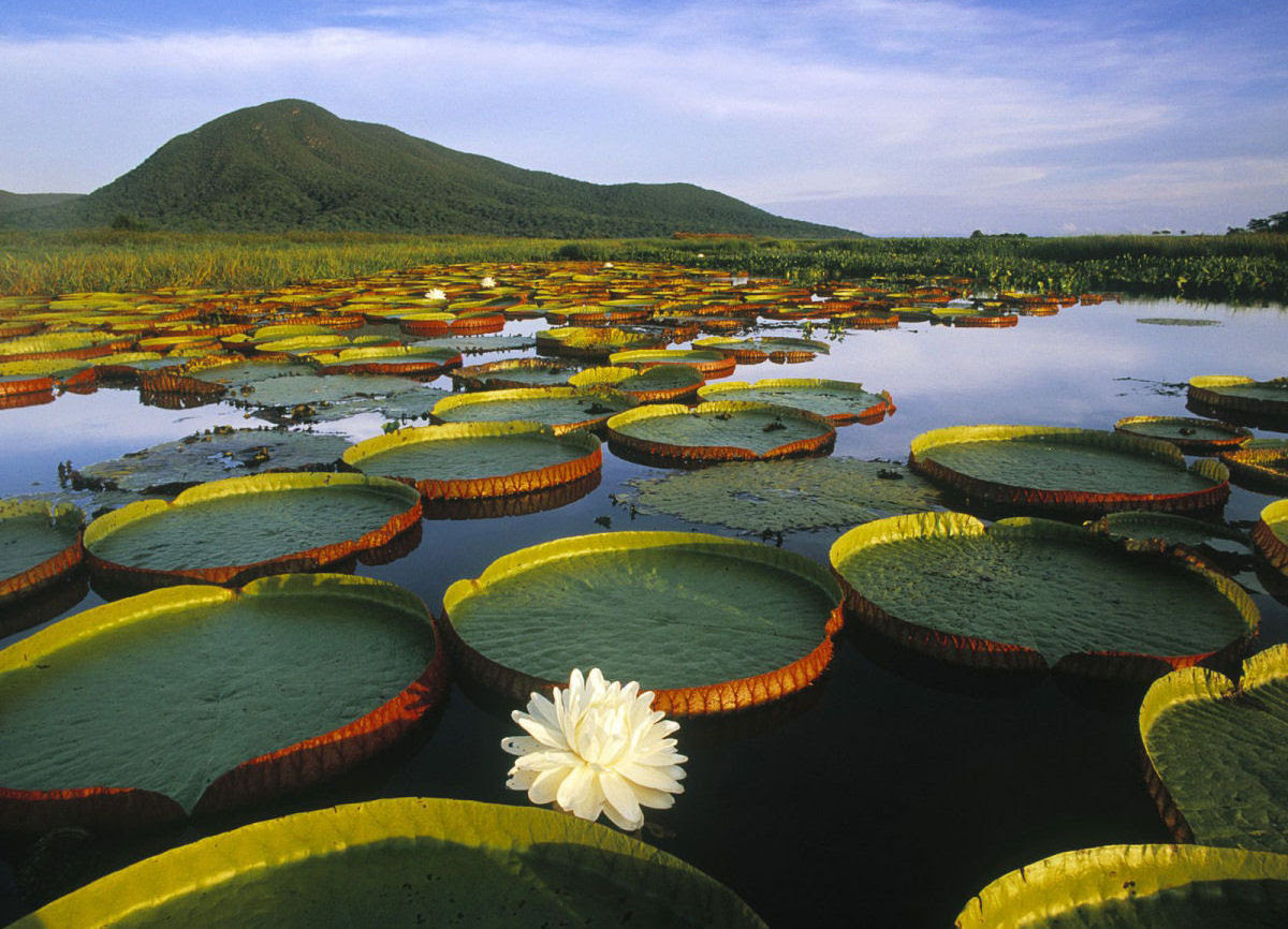 Fotografias que celebram a beleza da Terra 23
