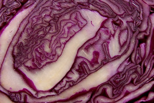 Close up of red cabbage by Eve Fox, Garden of Eating blog copyright 2011