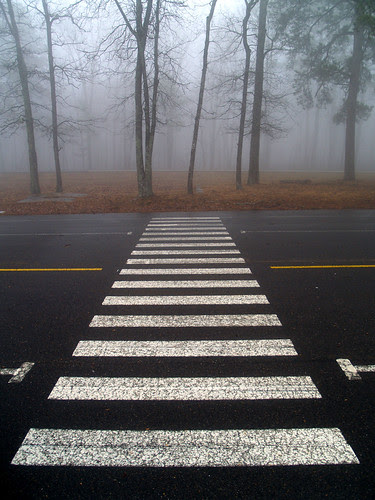 Foggy crossing