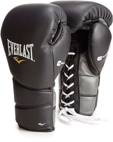Very Cheap Ringside Boxing Gloves discount: Everlast Protex2 Leather ...