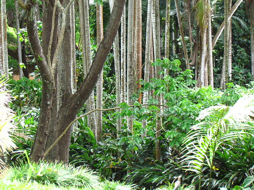Allerton Garden