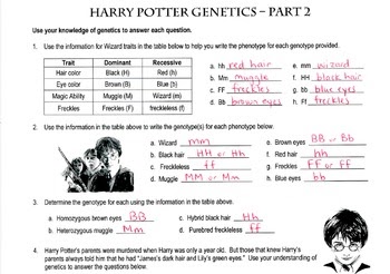 Harry Potter Genetics Answer Key - strykerbydesignbags