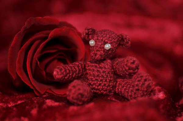 True Love Bear True Love Bear