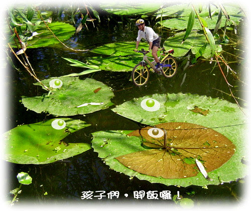 無限台南/無限台南輕功水上飄