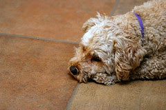 Ralph being all sad