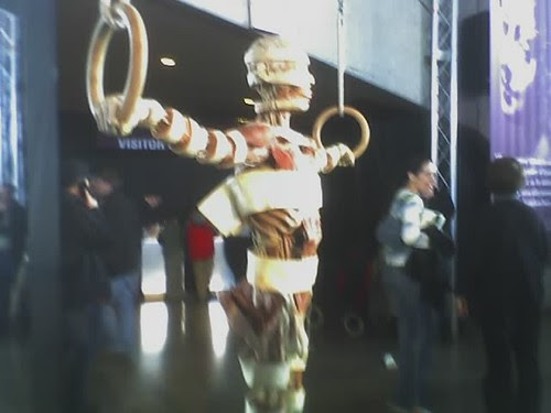 ring man