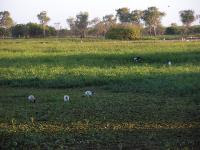 Free Image Hosting at www.ImageShack.us