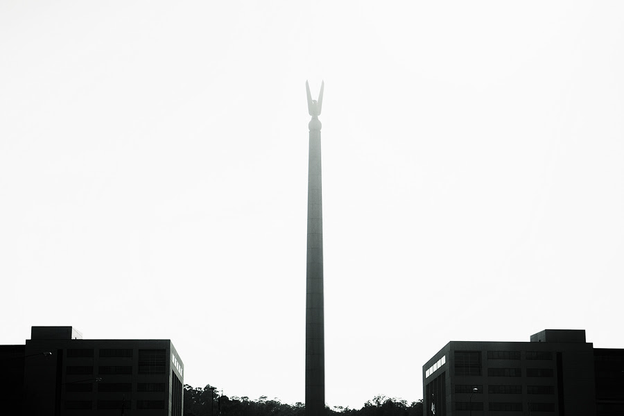 _DSC5303
