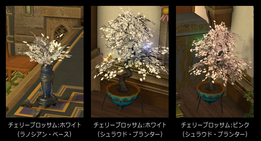 美しい花の画像 上ff14 花 栽培