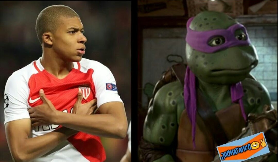 Mbappe Ninja Turtle Meme / Teenage Mutant Ninja Turtles Mbappe