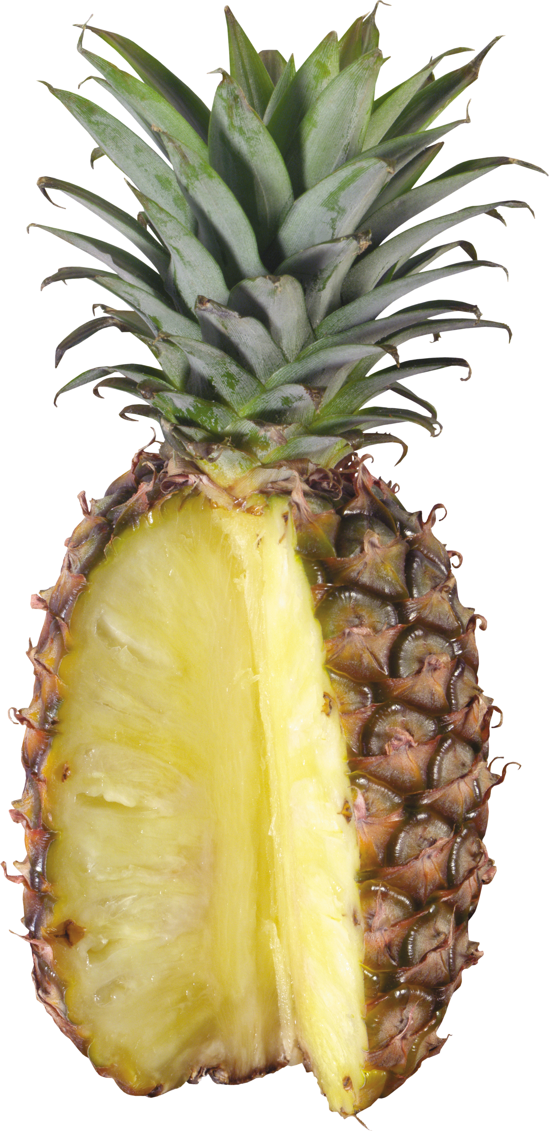 Pineapple PNG images free pictures download