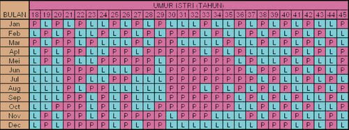 Prediksi Jenis Kelamin Bayi Menurut Kalender Cina