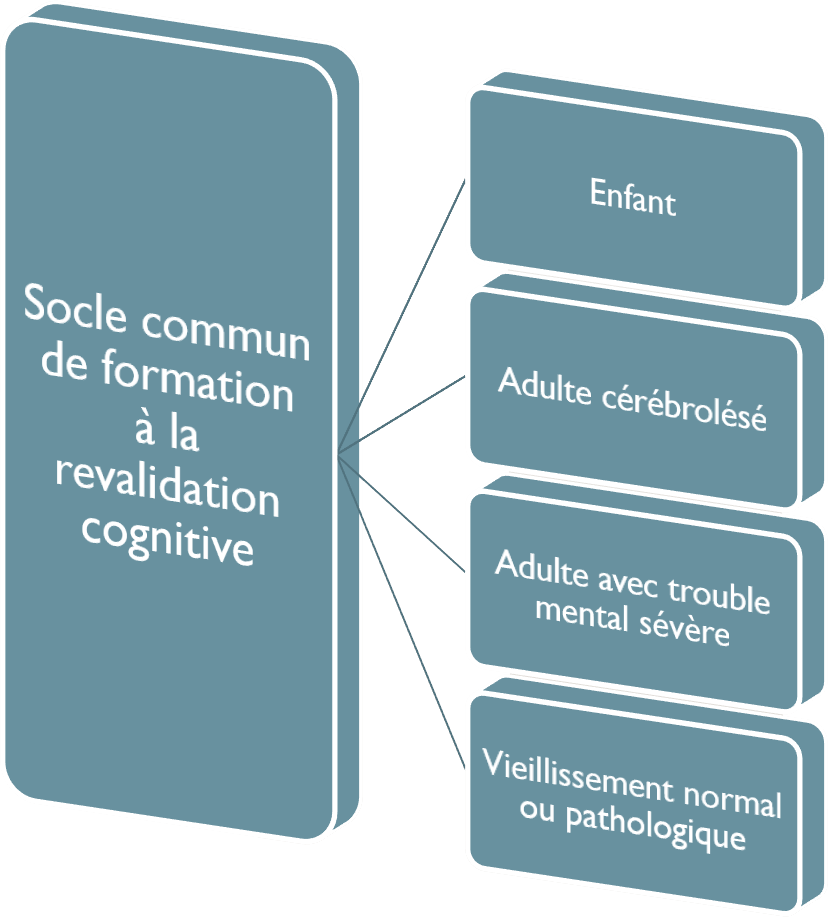 Modèle Demande De Stage Animation Ehpad Assp  Couronnes de noël