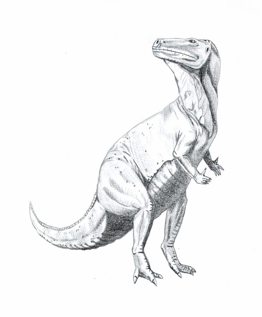 iguanodon coloring page