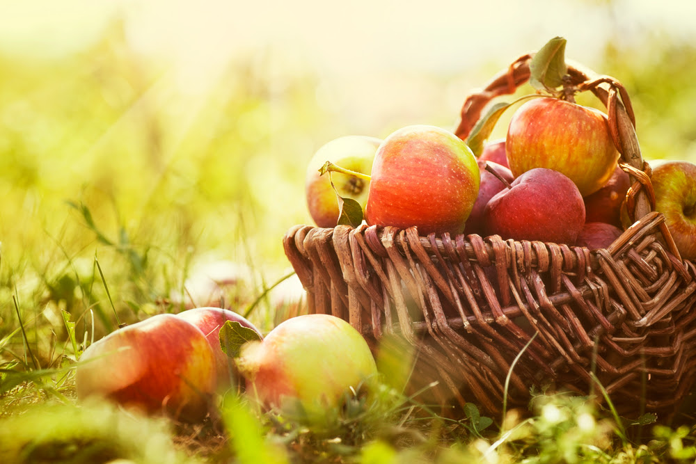 shutterstock_111769100