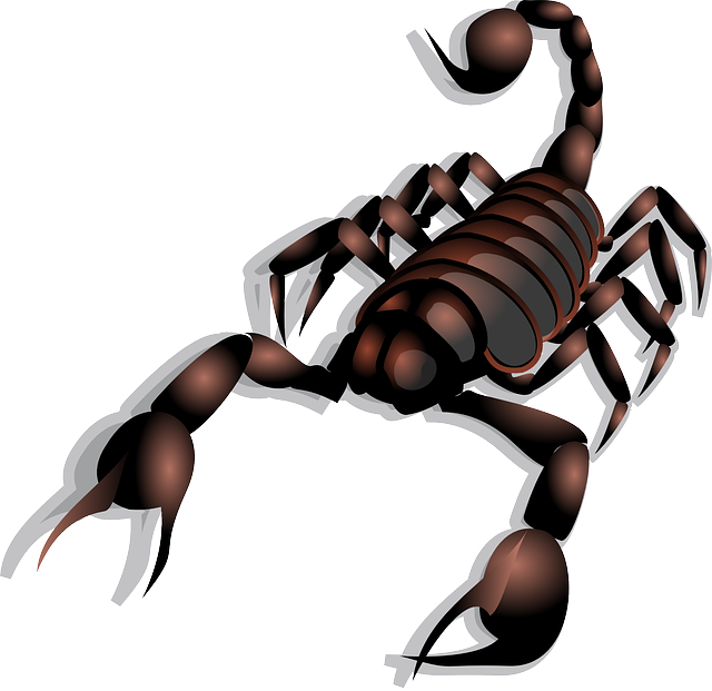 SCORPION = Scorpio