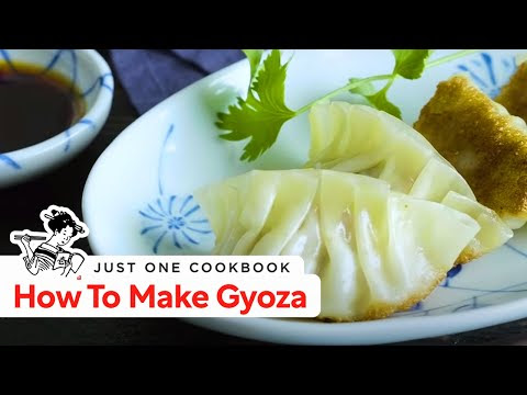 gyoza