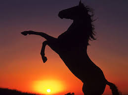 http://t3.gstatic.com/images?q=tbn:ANd9GcSwJj2YBGUZGhYjVcHA_HWnlyCu8m6XSdIp9mDUL7on_TdntP2CtA