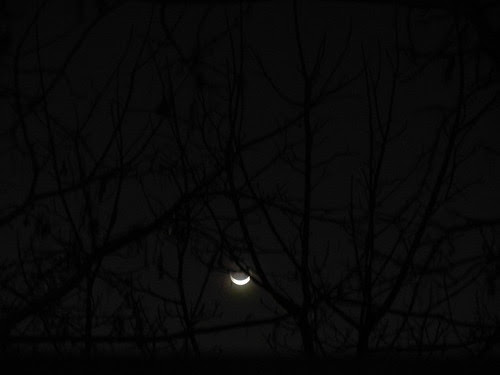 New Moon _ 1545