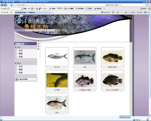 20080307_ODAP-IE8