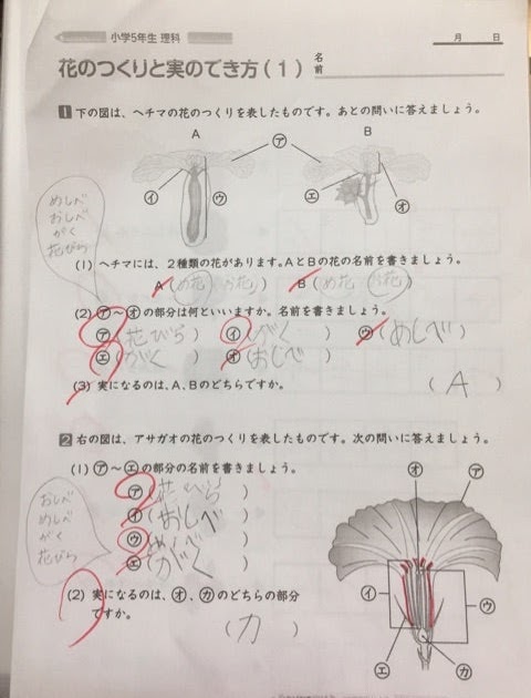 ほとんどのダウンロード 5年生 理科 プリント ここから印刷してダウンロード