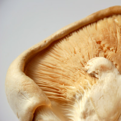 snow cap mushroom
